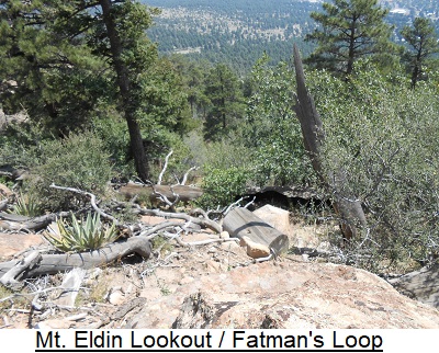 Mt.Eldin Lookout / Fatman's Loop